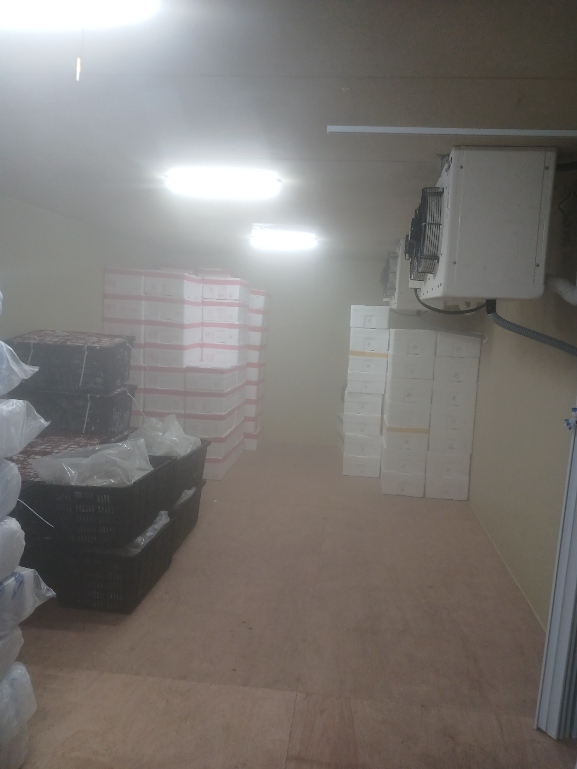 2000769928_gW9n4VPs_035fa21d33119d23ffc3b69f30a4ffec371e0984.jpg 이미지크게보기